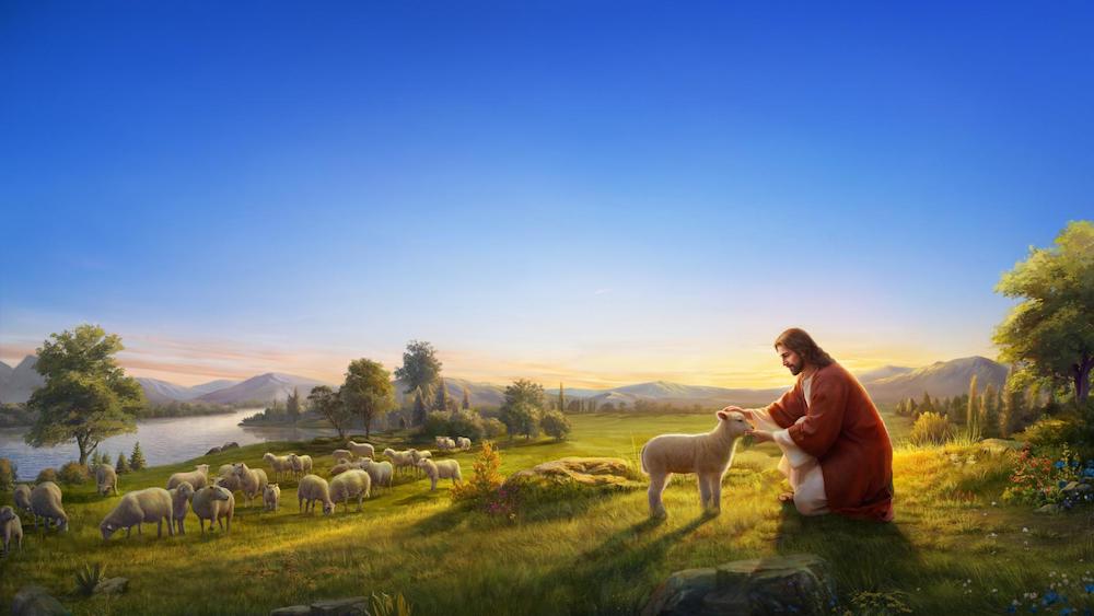 The Parable of the Lost Sheep Contains Profound Meaning
